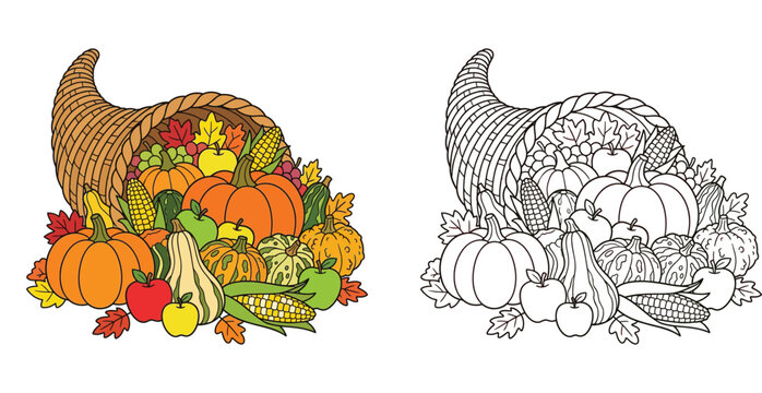 Thanksgiving harvest cornucopia with autumn pumpkins, corn, and apples. Colored illustration and black line art outline for coloring book page.