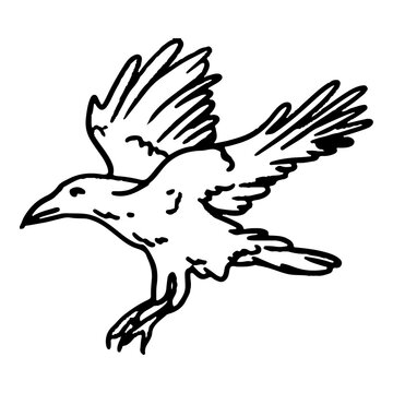 eagle tattoo vector