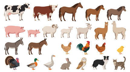 Obraz premium A premium vector illustration set featuring a diverse collection of farm animals and livestock