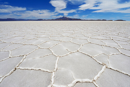 Salar de Coipasa, Coipasa, Bolivia