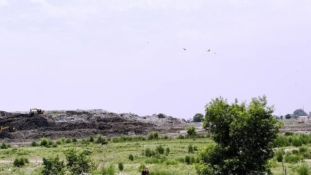 Massive City Landfill with Mountain of Garbage Showing Urban Waste Management, Environmental Pollution and Municipal Solid Waste Disposal Site
