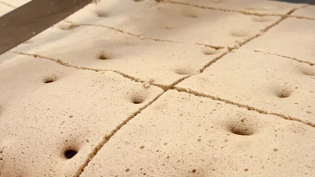 A detailed close-up of a freshly baked traditional brown sponge cake with raisins being sliced with a sharp knife, showcasing its soft, fluffy, light, and delicious porous texture.
