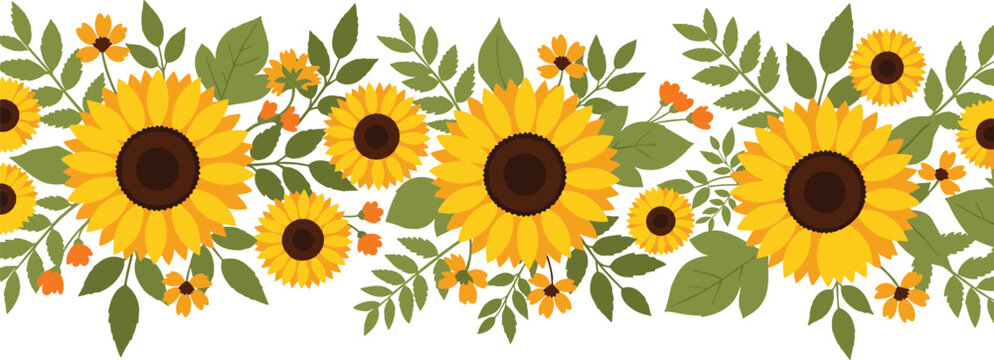 Sunflower seamless border vector illustration, yellow floral autumn garden nature background, decorative botanical blossom frame, plant leaf summer bloom, sun, flora.