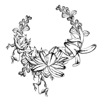 Kalanchoe rosettes, protea blossom and cascading exotic bromeliad vine foliage in lush circular wreath frame. Detailed ink hand drawn vector artwork. Natural skincare wraps, boutique floral identity.