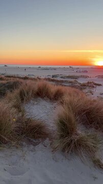 beautiful sunset over the dunes at the beach in summer night	
