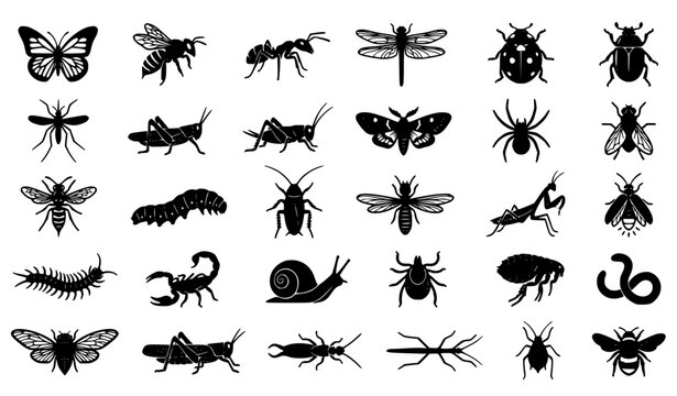 Insect and Bug Silhouette Icons Vector Collection