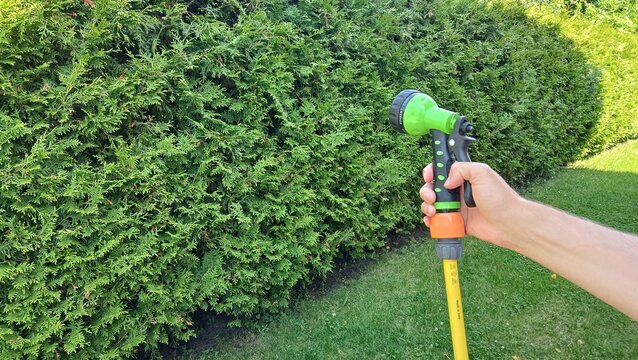 Mowing the lawn. Hand holding garden hose spray nozzle gun on green thuja hedge background in backyard lawn, watering equipment mockup.