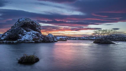 Lake Myvatn at sunset, highlands of northern Iceland. Long exposure shot with motion blur on water surface and small tree. © Rixie