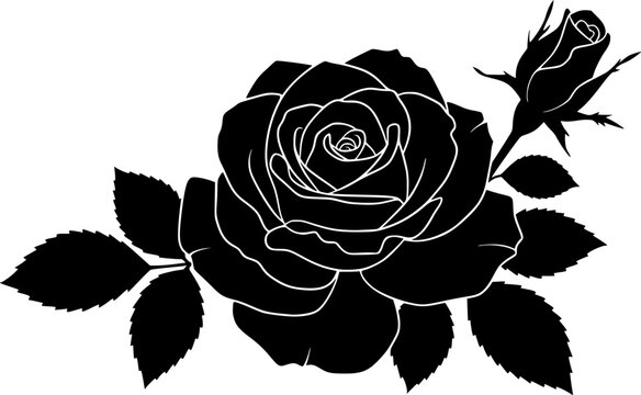 Black silhouette of rose. Vector illustration of black silhouette of rose with rosebud and leaves on a white background. EPS version.