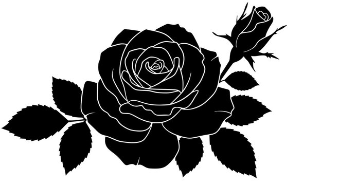 Black silhouette of rose. Vector illustration of black silhouette of rose with rosebud and leaves on a white background. PNG version.