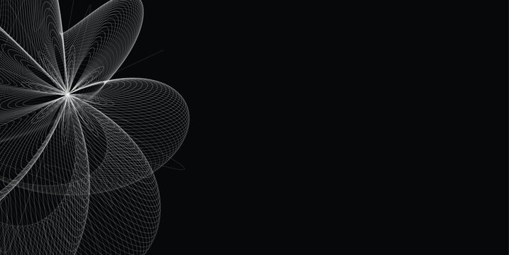 Abstract White Wireframe Floral Geometry Background with Parametric Curves and Copy Space