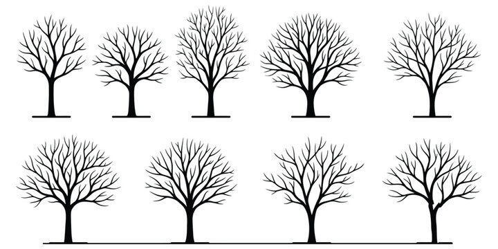 Leafless Tree Silhouette Collection with Bare Branches Isolated on White Background