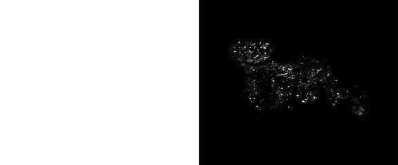 Abstract digital leopard silhouette made of glowing particles, futuristic wild cat hologram on black background, high tech animal concept © Transparent Studio