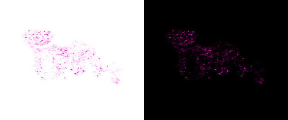Abstract cheetah silhouette made of pink particles, wild big cat digital art on white and black backgrounds, creative animal design element © Transparent Studio