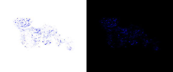 Abstract digital cheetah silhouette in blue particles, futuristic wild cat technology concept, creative animal design elements on white and black backgrounds © Transparent Studio
