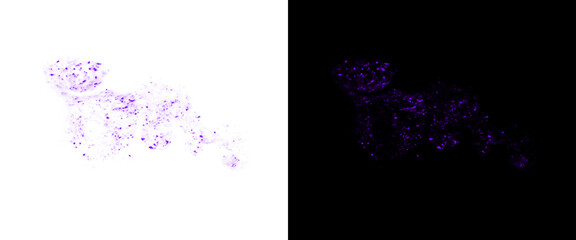 Abstract cheetah silhouette made of purple particles, wild big cat digital art on white and black backgrounds, creative animal design element © Transparent Studio