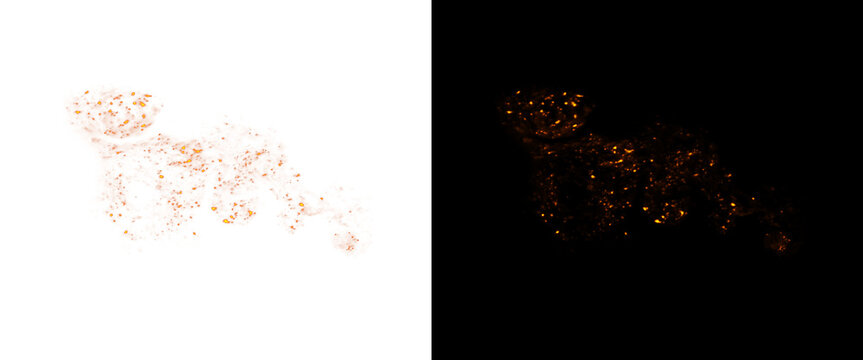 Golden leopard silhouette made of glowing particles, shimmering wild cat predator shape, luxury glitter animal design on black and white background