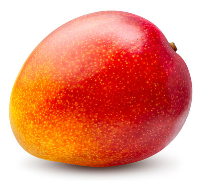 Red Elegant Mango isolated on white background, Fresh Red Mango fruits on white background with clipping path.