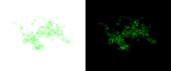 Green digital particle map of Hong Kong, glowing neon city lights on black and white background, futuristic data visualization of urban geography © Transparent Studio