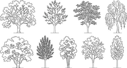 Fototapeta premium Black and white line of various types of trees and plants isolated on white background foliage leaves