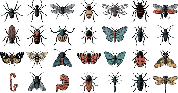Insect vector illustration set featuring colorful bugs spiders butterflies ladybug beetles flies caterpillars and dragonflies with vintage sketch details isolated on white background