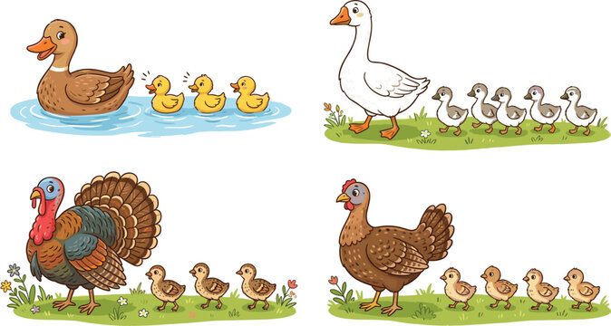 Cartoon Farm Poultry Family Set with Cute Mother Birds and Chicks for Kids Educational Books, Stickers, School Activities, and Nursery Decoration Graphics