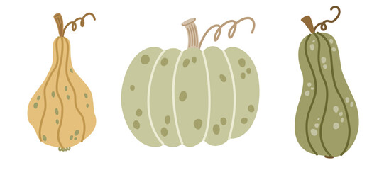 Pumpkin vector set featuring three naive hand-drawn autumn gourds. Minimalist doodle style design is perfect for fall textiles, Thanksgiving packaging, stationery, and modern aesthetic prints. © Olena Yevsikova