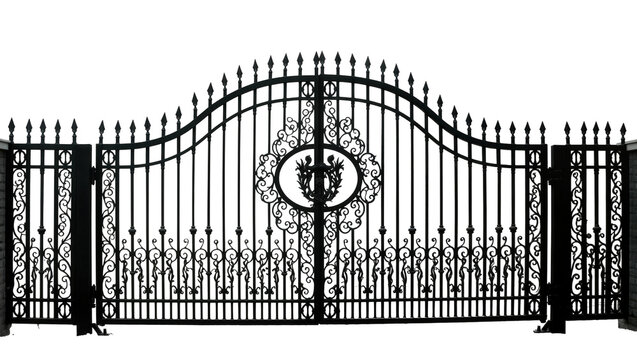 Isolated ornate wrought iron gate with elegant scrollwork and spearhead finials for grand entrance