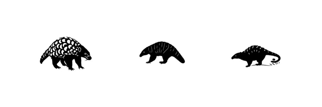 Pangolin set with solid black silhouette design featuring endangered wildlife, conservation, rare animals with defensive stance and side view