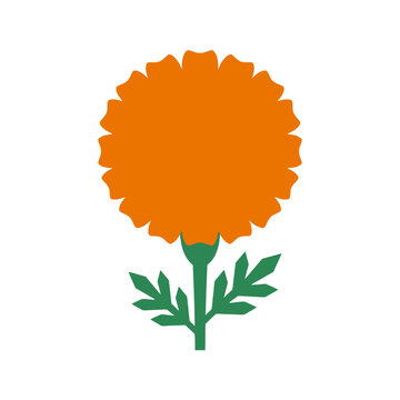 Isolated orange marigold flower with green stem and leaves, simple flat design element, decorative floral illustration on white