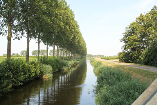 a channel with water and a row of green trees in the countryside in Flanders in summer