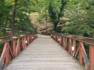 Obraz premium bridge in the forest