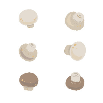 Whole Mushrooms Set White and Brown