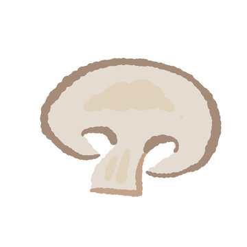 Single Sliced Brown Mushroom Angle