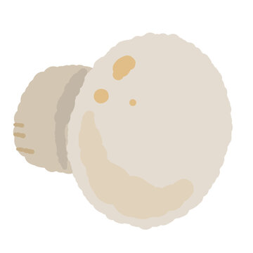 Whole White Mushroom Front View