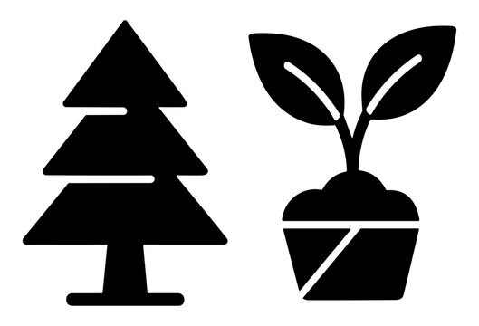 Black silhouettes of a pine tree and a small plant sprouting from soil in a pot on transparent background