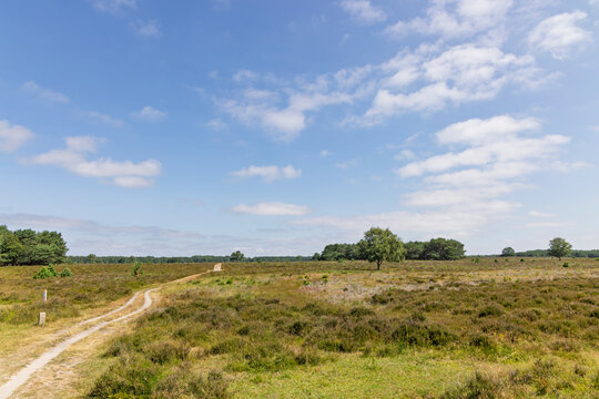 Bussum, Netherlands. A peaceful dirt walking path guiding through the wide open landscape of the Bussumerheide heather fields on a bright summer day.