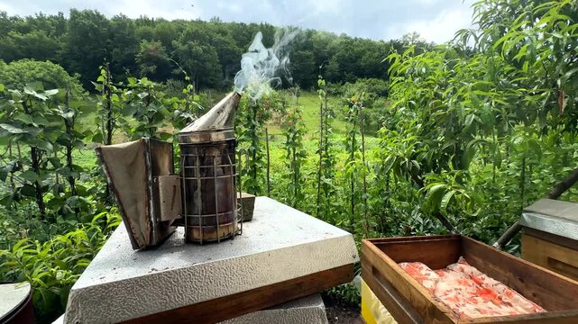 Traditional Beekeeping Tool Smoking On A Hive Cover