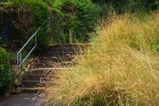 In Marburg gibt es tausend Treppen, hier eine mit trockenem Gras einer Wiese nebenan