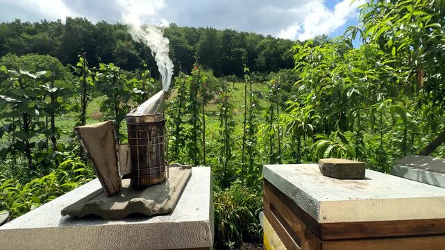 Bee Smoker Tool Releasing Smoke On A Beehive In The Garden