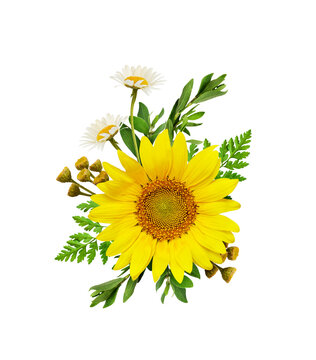 Sunflower and wild flowers in a summer floral arrangement isolated on white or transparent background