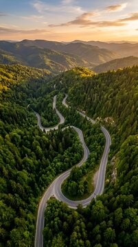 Winding Mountain Road Through Lush Green Forest at Sunset.