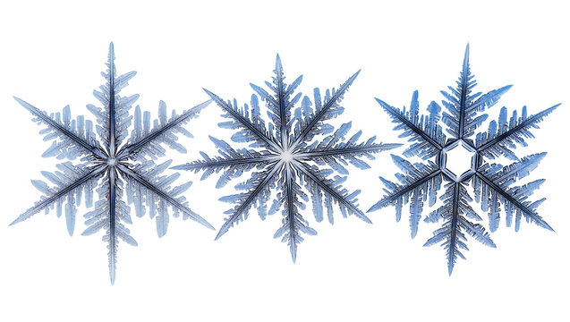 Isolated three beautiful blue snowflakes exhibiting complex geometric frosty patterns