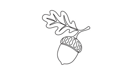 Minimalist continuous line drawing of an acorn with oak leaf, elegant black and white botanical vector art, autumn nature symbol isolated on White Background © Ali