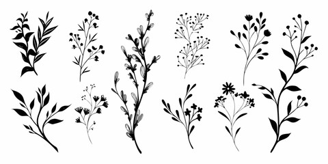 Fototapeta premium Botanical Silhouette Illustrations Solid Black On White Background