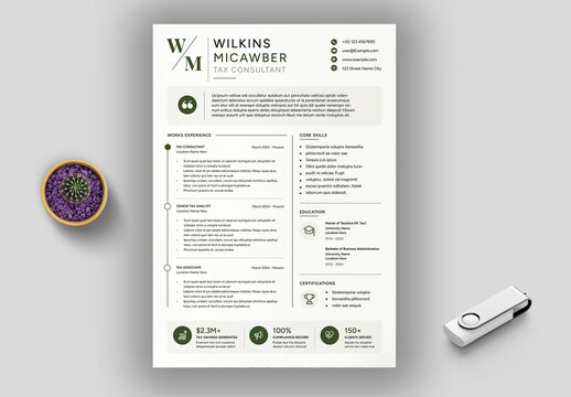 Effective Tax Consultant Resume