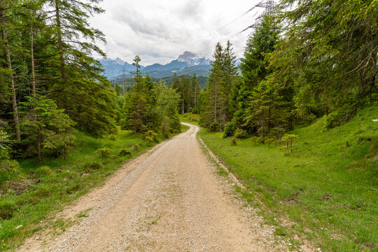 Scenic gravel path winding through alpine forest in Mittenwald