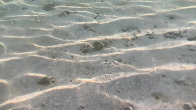 underwater, ocean, sea, sandy bottom, seabed, sand, shallow, close up, macro, ripple, sand ripple, sand pattern, texture, pebbles, stones, marine, nature, aquatic, coastal, seafloor, ocean floor, ligh