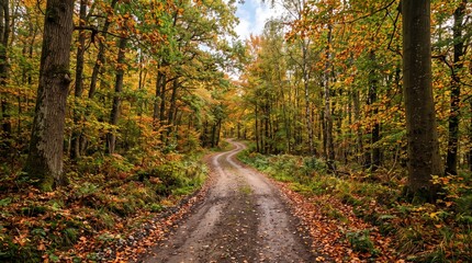 Fototapeta premium A winding dirt road through a vibrant autumn forest with colorful fall foliage, tall trees, and fallen leaves covering the ground in a peaceful woodland landscape