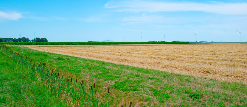 Agricultural fields and impressions in a bright summer day under a blue sky